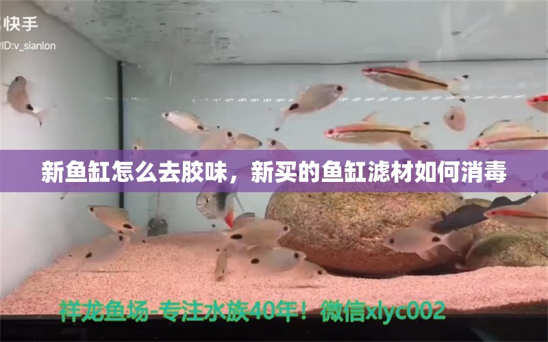 新魚缸怎么去膠味，新買的魚缸濾材如何消毒