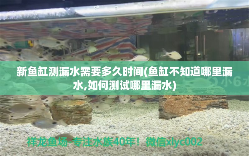 新魚缸測(cè)漏水需要多久時(shí)間(魚缸不知道哪里漏水,如何測(cè)試哪里漏水)