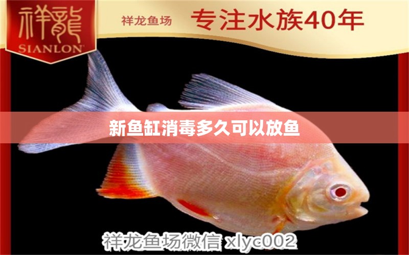 新魚缸消毒多久可以放魚