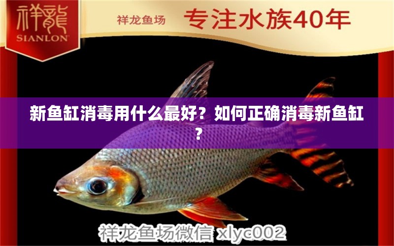 新魚缸消毒用什么最好？如何正確消毒新魚缸？