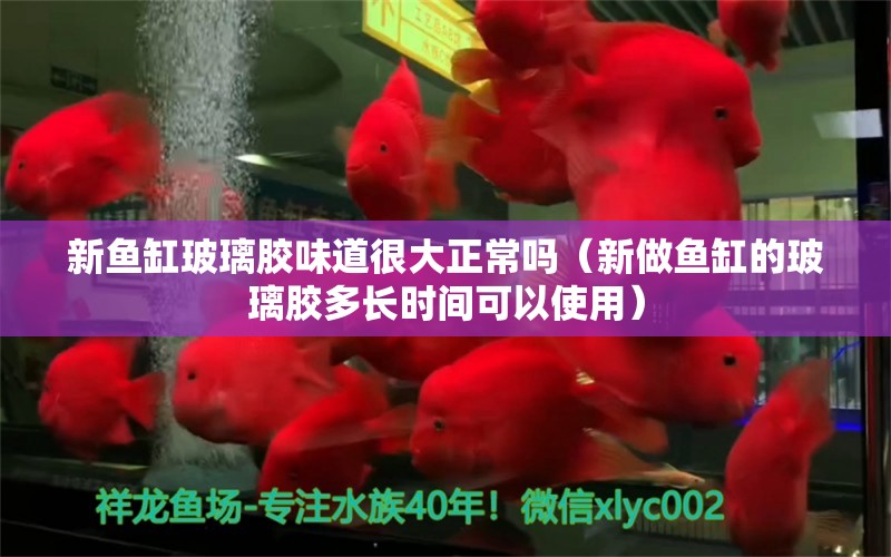 新魚缸玻璃膠味道很大正常嗎（新做魚缸的玻璃膠多長(zhǎng)時(shí)間可以使用）