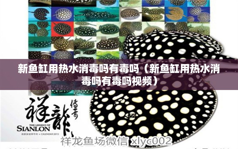 新魚(yú)缸用熱水消毒嗎有毒嗎（新魚(yú)缸用熱水消毒嗎有毒嗎視頻）