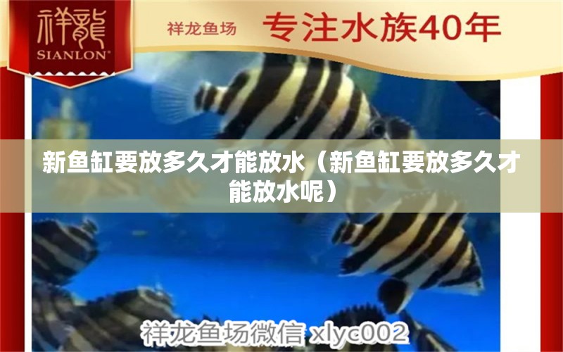 新魚缸要放多久才能放水（新魚缸要放多久才能放水呢）