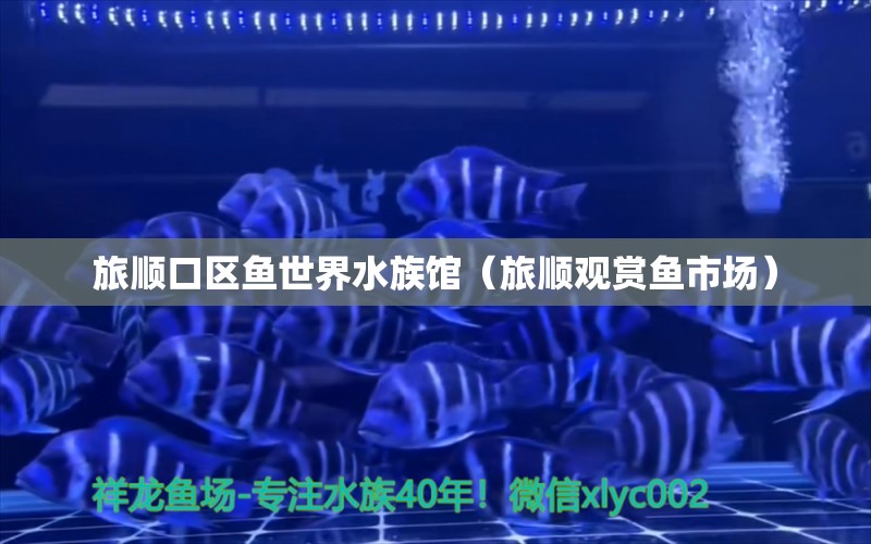 旅順口區(qū)魚世界水族館（旅順觀賞魚市場(chǎng)）