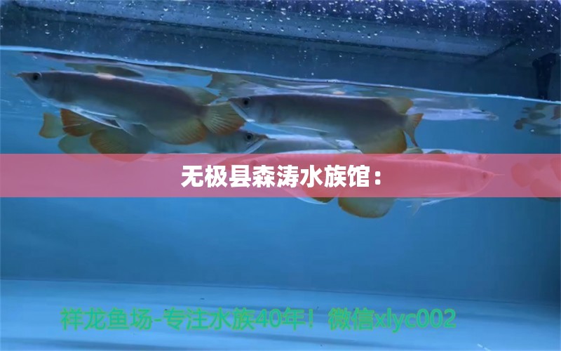 無極縣森濤水族館：