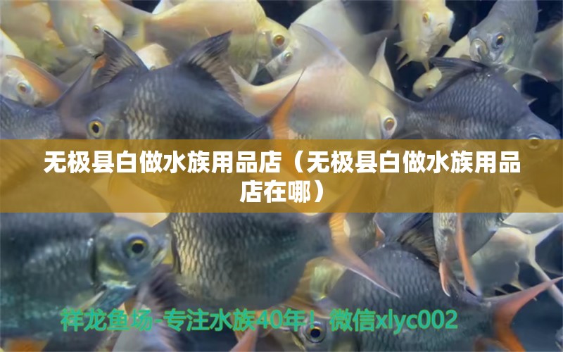 無極縣白做水族用品店（無極縣白做水族用品店在哪）