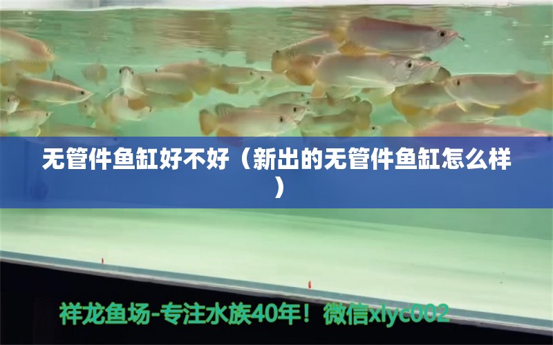 無(wú)管件魚(yú)缸好不好（新出的無(wú)管件魚(yú)缸怎么樣）