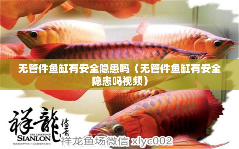 無管件魚缸有安全隱患嗎（無管件魚缸有安全隱患嗎視頻）