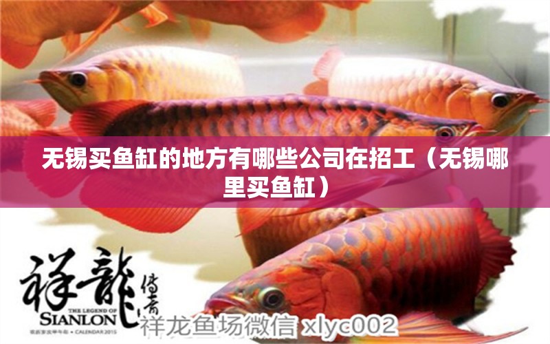 無錫買魚缸的地方有哪些公司在招工（無錫哪里買魚缸）