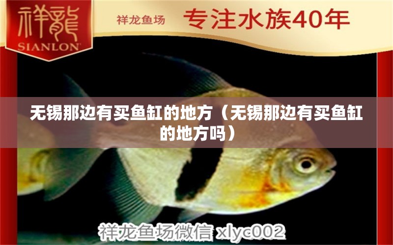 無錫那邊有買魚缸的地方（無錫那邊有買魚缸的地方嗎） 其他品牌魚缸