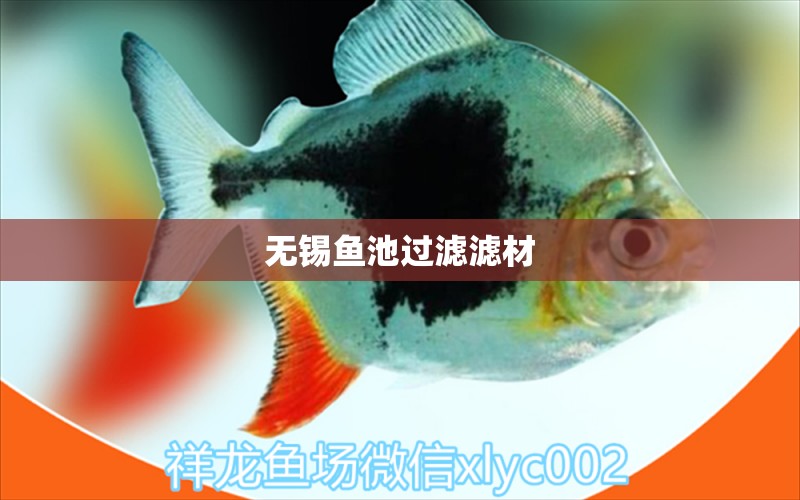 無錫魚池過濾濾材 廣州水族器材濾材批發(fā)市場