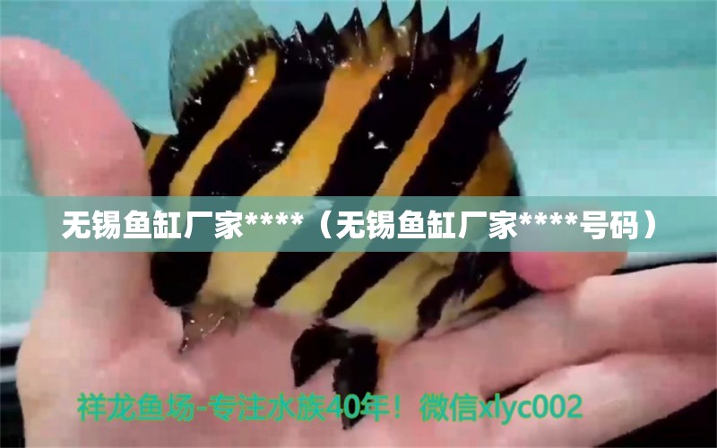 無錫魚缸廠家****（無錫魚缸廠家****號(hào)碼） 祥龍水族醫(yī)院