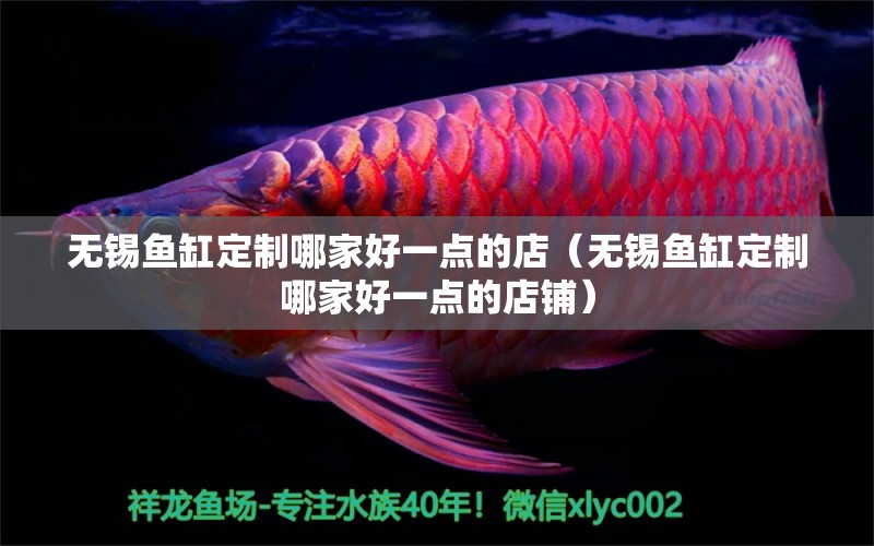 無錫魚缸定制哪家好一點(diǎn)的店（無錫魚缸定制哪家好一點(diǎn)的店鋪）