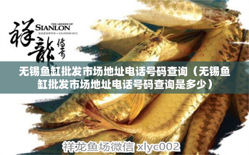 無(wú)錫魚(yú)缸批發(fā)市場(chǎng)地址電話號(hào)碼查詢（無(wú)錫魚(yú)缸批發(fā)市場(chǎng)地址電話號(hào)碼查詢是多少）