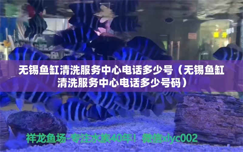 無錫魚缸清洗服務(wù)中心電話多少號(hào)（無錫魚缸清洗服務(wù)中心電話多少號(hào)碼）