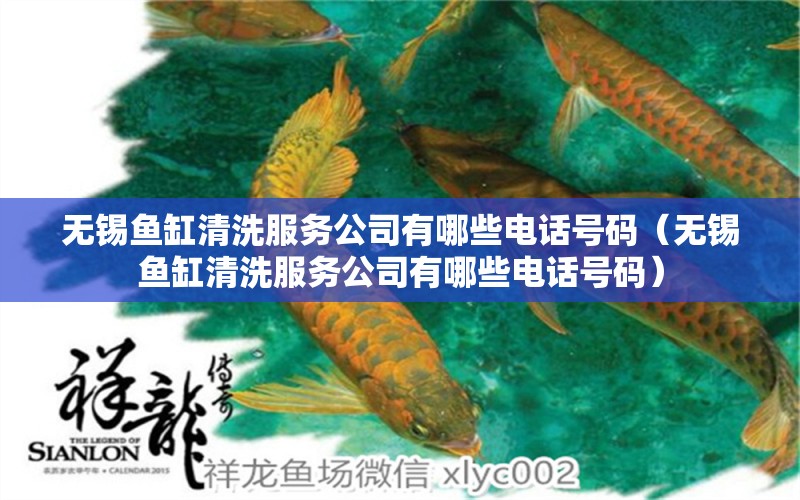 無錫魚缸清洗服務(wù)公司有哪些電話號碼（無錫魚缸清洗服務(wù)公司有哪些電話號碼）