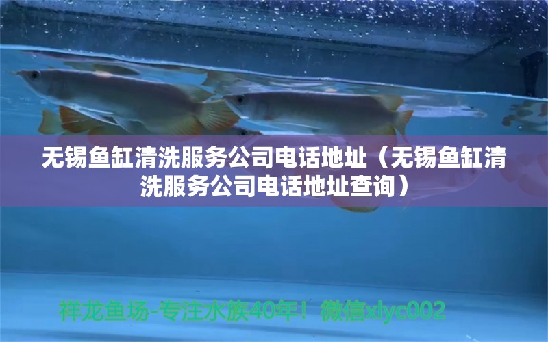 無錫魚缸清洗服務(wù)公司電話地址（無錫魚缸清洗服務(wù)公司電話地址查詢）