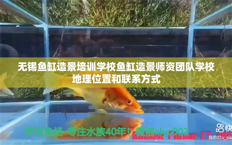 無錫魚缸造景培訓(xùn)學(xué)校魚缸造景師資團隊學(xué)校地理位置和聯(lián)系方式