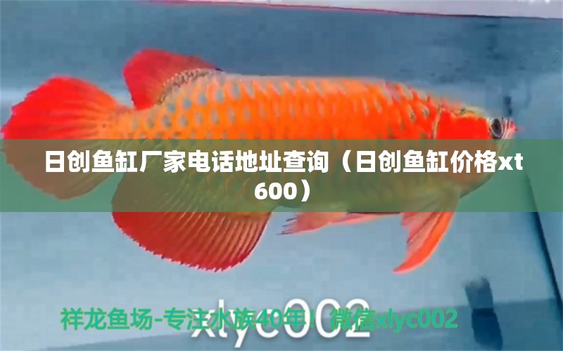 日創(chuàng)魚缸廠家電話地址查詢（日創(chuàng)魚缸價格xt600） 觀賞魚批發(fā)