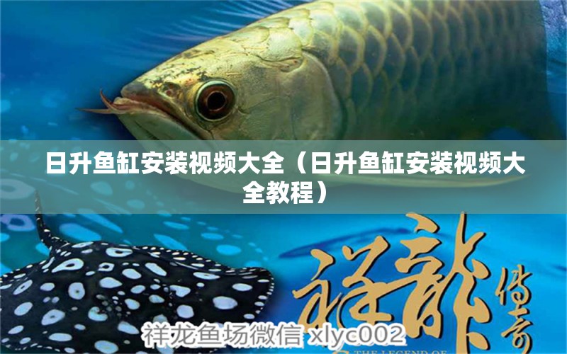 日升魚缸安裝視頻大全（日升魚缸安裝視頻大全教程）