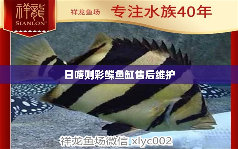 日喀則彩鰈魚(yú)缸售后維護(hù) 彩鰈魚(yú)缸（彩蝶魚(yú)缸）