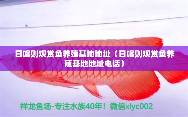 日喀則觀賞魚養(yǎng)殖基地地址（日喀則觀賞魚養(yǎng)殖基地地址電話）