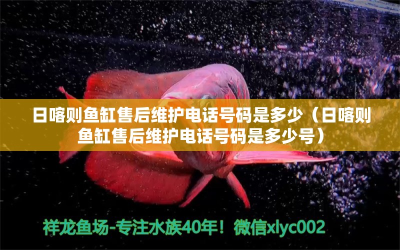 日喀則魚缸售后維護電話號碼是多少（日喀則魚缸售后維護電話號碼是多少號） 其他品牌魚缸