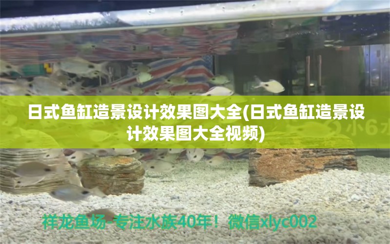 日式魚缸造景設計效果圖大全(日式魚缸造景設計效果圖大全視頻)