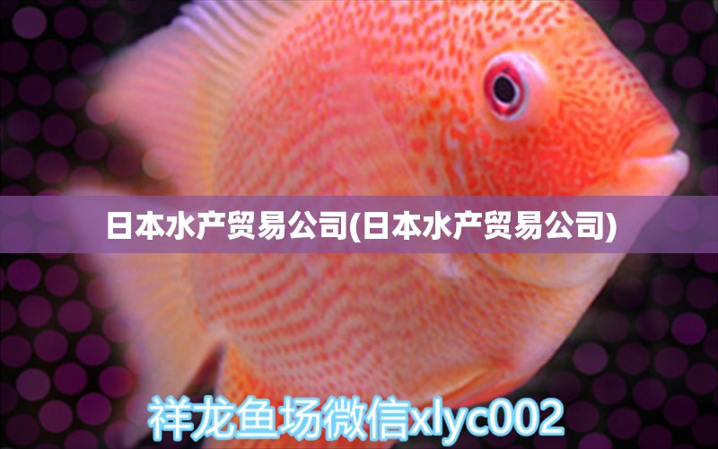 日本水產(chǎn)貿(mào)易公司(日本水產(chǎn)貿(mào)易公司) 稀有金龍魚