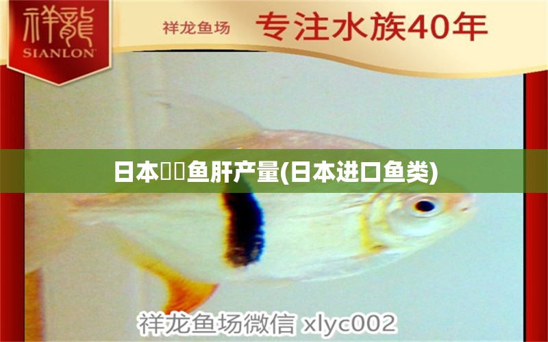 日本鮟鱇魚肝產(chǎn)量(日本進口魚類) 過背金龍魚