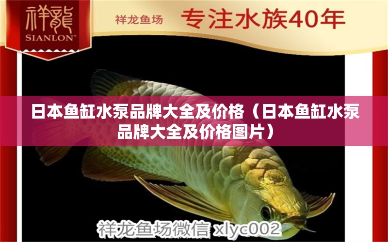 日本魚缸水泵品牌大全及價(jià)格（日本魚缸水泵品牌大全及價(jià)格圖片） 魚缸水泵