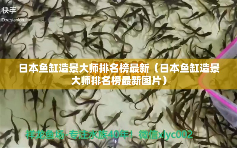 日本魚缸造景大師排名榜最新（日本魚缸造景大師排名榜最新圖片）