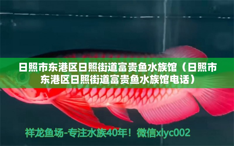 日照市東港區(qū)日照街道富貴魚(yú)水族館（日照市東港區(qū)日照街道富貴魚(yú)水族館電話）