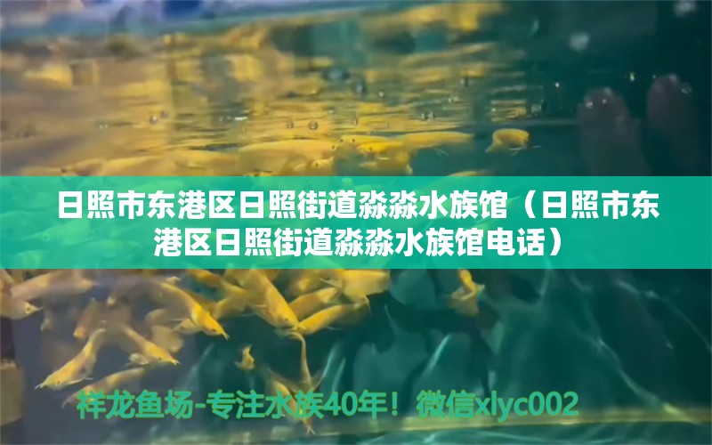 日照市東港區(qū)日照街道淼淼水族館（日照市東港區(qū)日照街道淼淼水族館電話）