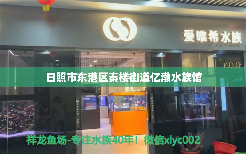 日照市東港區(qū)秦樓街道億渤水族館 全國水族館企業(yè)名錄