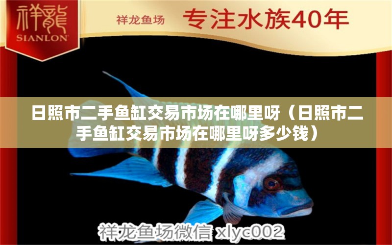 日照市二手魚缸交易市場在哪里呀（日照市二手魚缸交易市場在哪里呀多少錢） 過濾設(shè)備