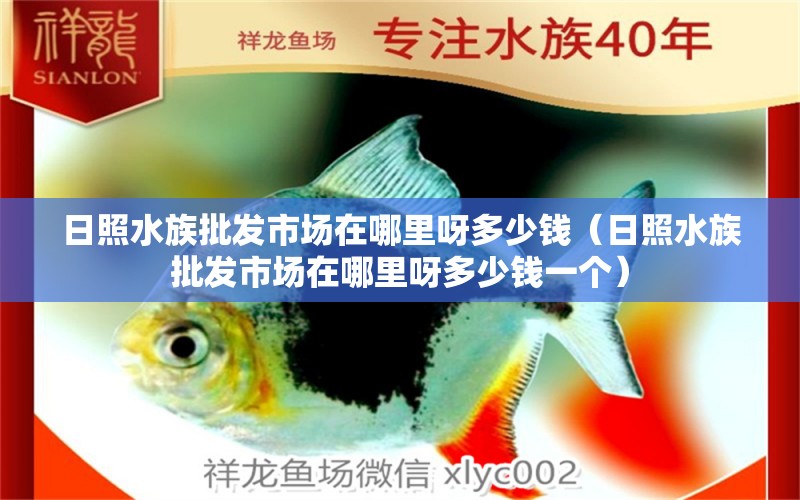 日照水族批發(fā)市場在哪里呀多少錢（日照水族批發(fā)市場在哪里呀多少錢一個） 觀賞魚水族批發(fā)市場