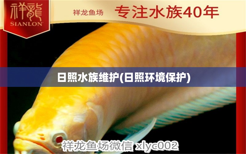 日照水族維護(hù)(日照環(huán)境保護(hù)) 細(xì)線銀版魚