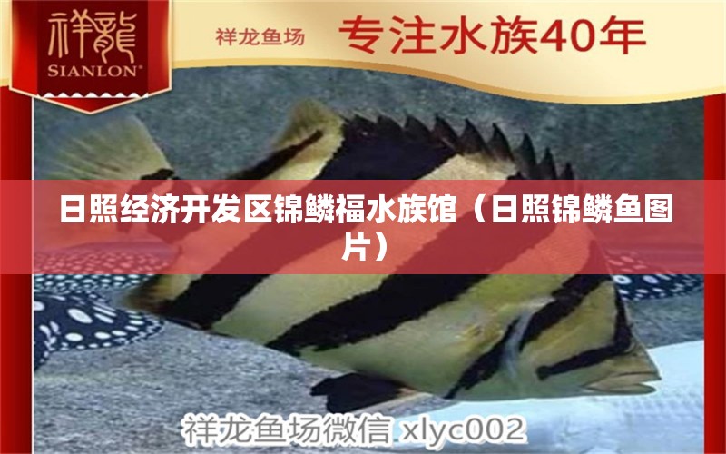 日照經(jīng)濟(jì)開發(fā)區(qū)錦鱗福水族館（日照錦鱗魚圖片）