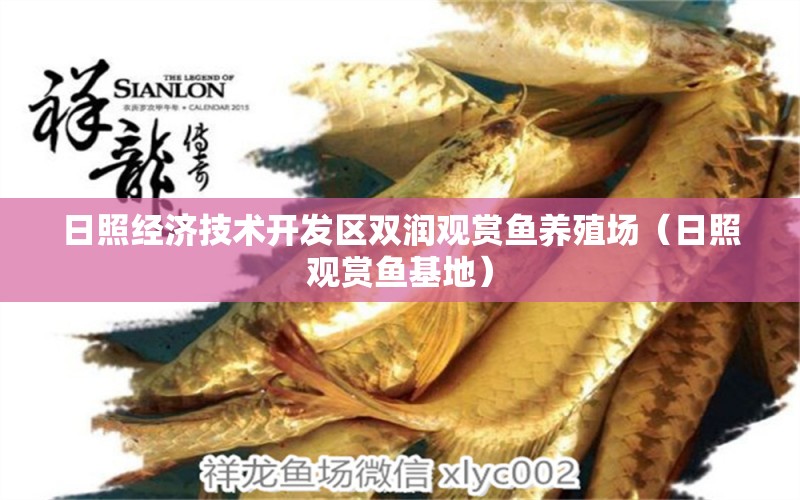 日照經(jīng)濟技術(shù)開發(fā)區(qū)雙潤觀賞魚養(yǎng)殖場（日照觀賞魚基地）