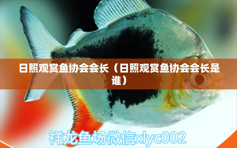 日照觀賞魚協(xié)會會長（日照觀賞魚協(xié)會會長是誰）