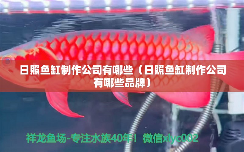 日照魚缸制作公司有哪些（日照魚缸制作公司有哪些品牌）