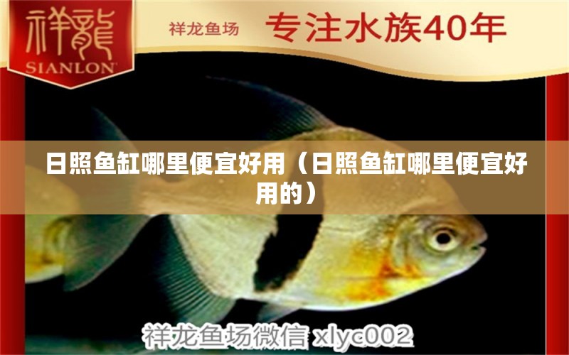 日照魚缸哪里便宜好用（日照魚缸哪里便宜好用的）