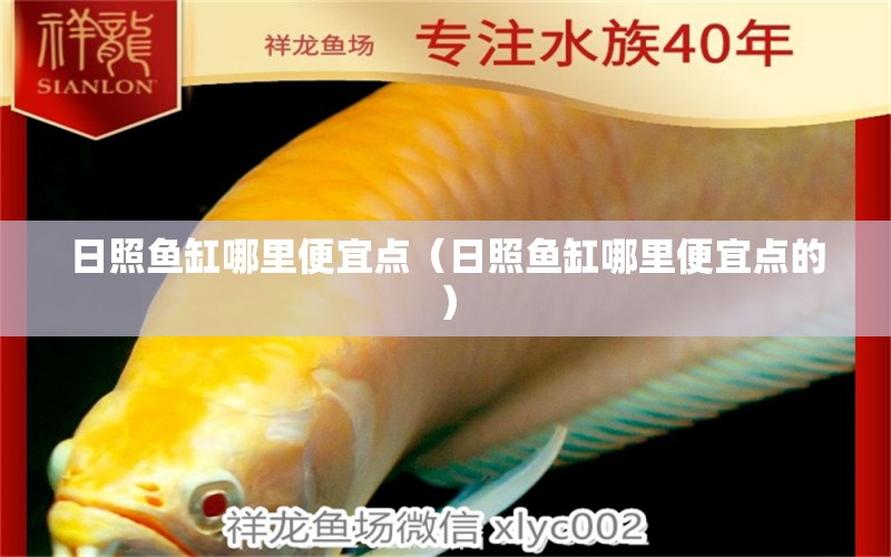 日照魚缸哪里便宜點(diǎn)（日照魚缸哪里便宜點(diǎn)的）