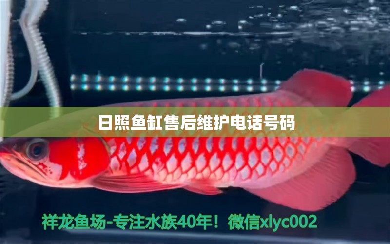 日照魚缸售后維護(hù)電話號碼