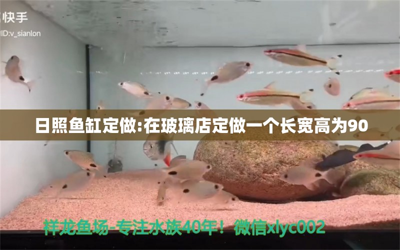 日照魚(yú)缸定做:在玻璃店定做一個(gè)長(zhǎng)寬高為90