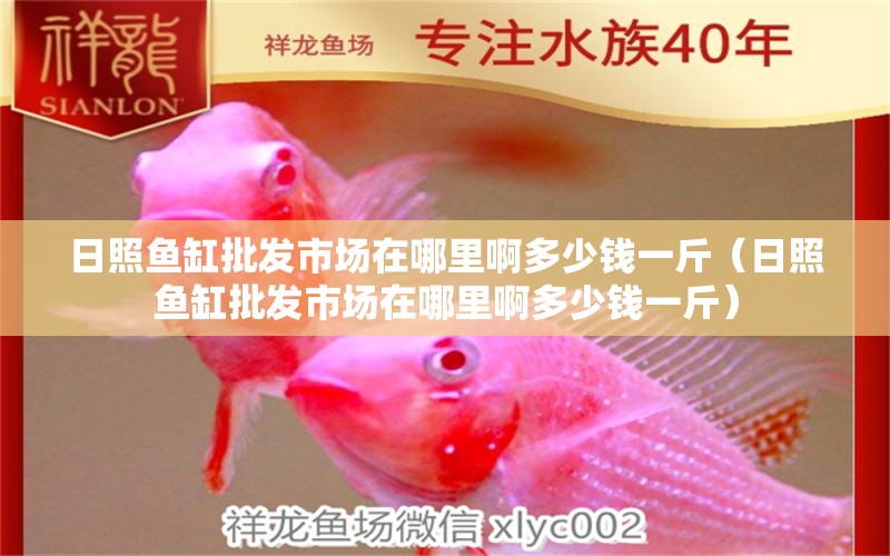 日照魚缸批發(fā)市場在哪里啊多少錢一斤（日照魚缸批發(fā)市場在哪里啊多少錢一斤） 祥龍水族醫(yī)院