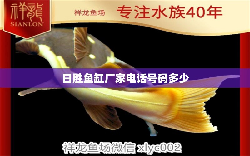 日勝魚缸廠家電話號(hào)碼多少 祥龍魚場