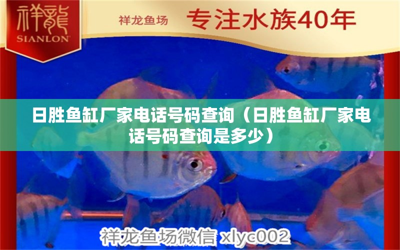 日勝魚缸廠家電話號碼查詢（日勝魚缸廠家電話號碼查詢是多少） 量子養(yǎng)魚技術(shù)