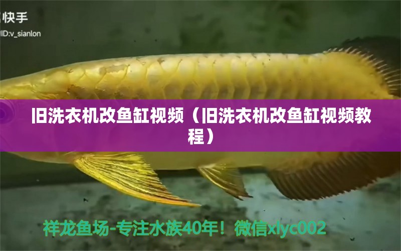 舊洗衣機改魚缸視頻（舊洗衣機改魚缸視頻教程）